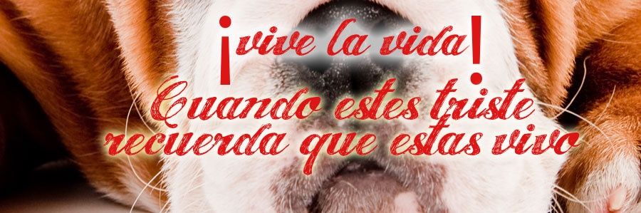 EPanete's profile banner image