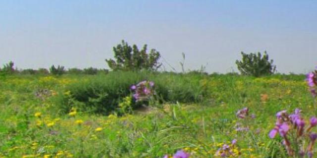 a6mham6's profile banner image