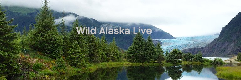 BBC Wild Alaska Live banner