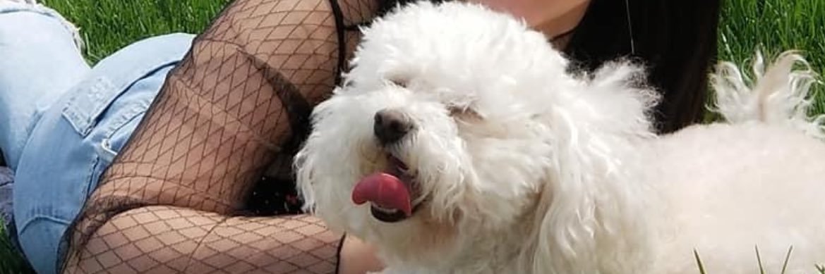 c banner