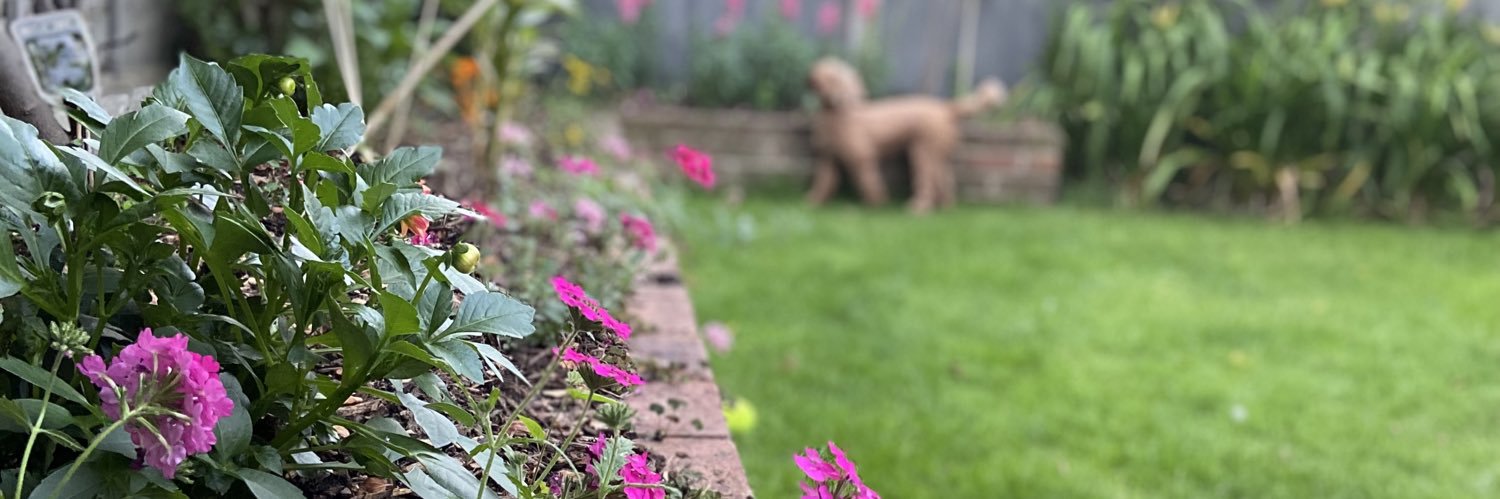 beth_bethepps's profile banner image