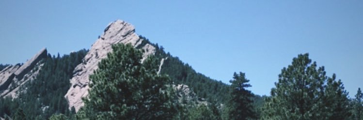 daisy light banner