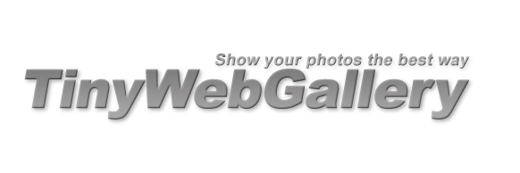 tinywebgallery's profile banner image