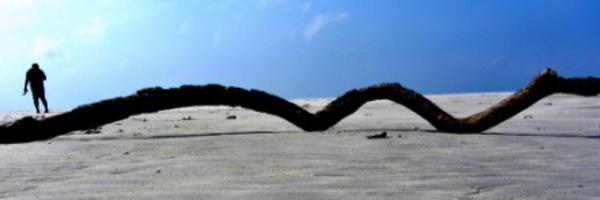 ashwingbenjamin Profile Banner