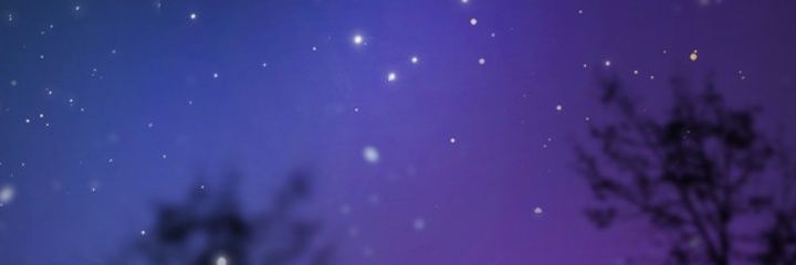 _Desireeblue's profile banner image
