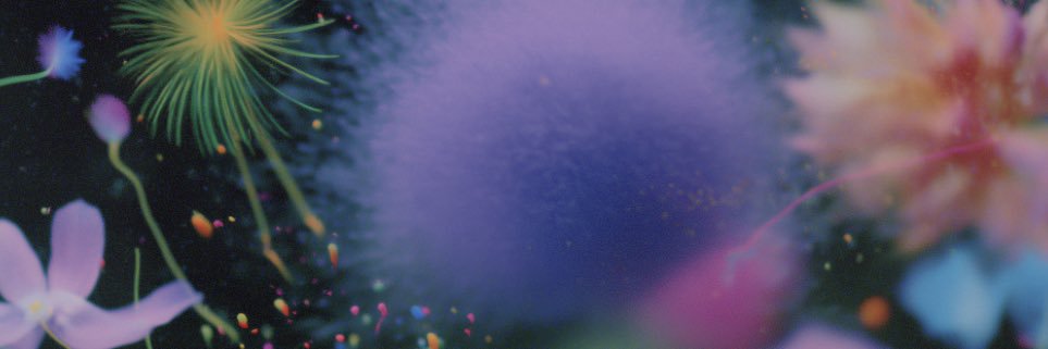 lofifaae's profile banner image