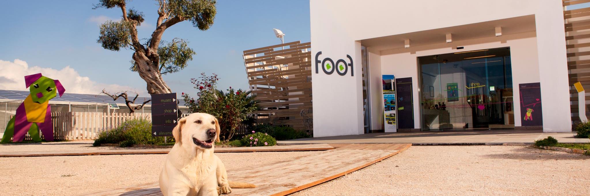 foofmuseo's profile banner image