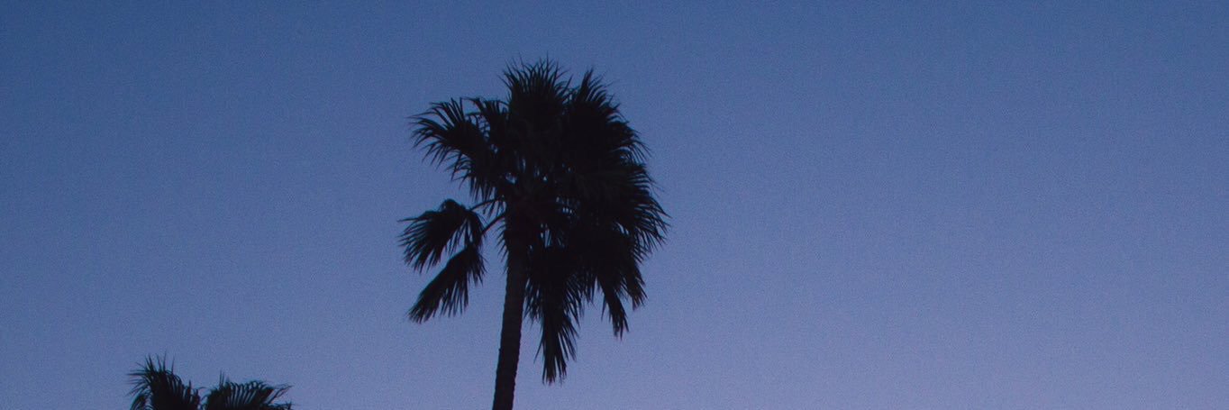 EmilyTotsa's profile banner image