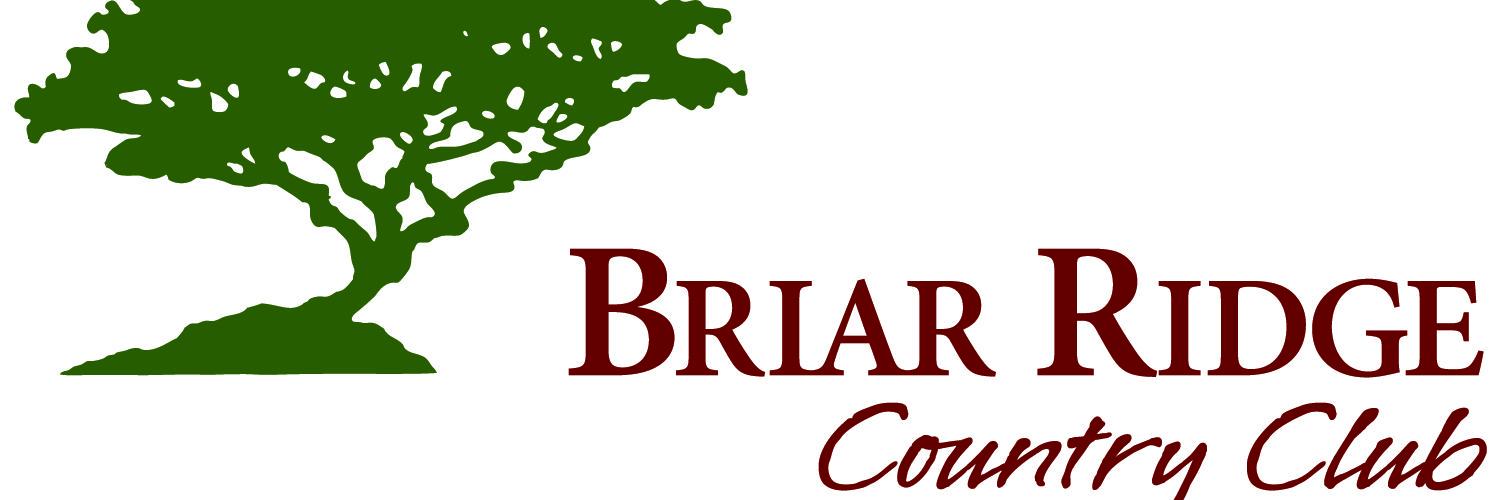 Dane Brummett banner