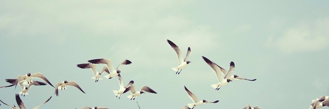 jolanaamara's profile banner image