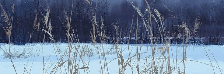 imagesbleues's profile banner image