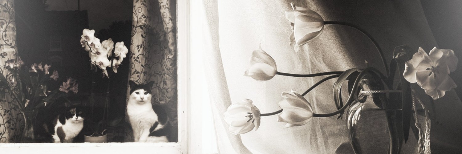 TaleofPoems's profile banner image