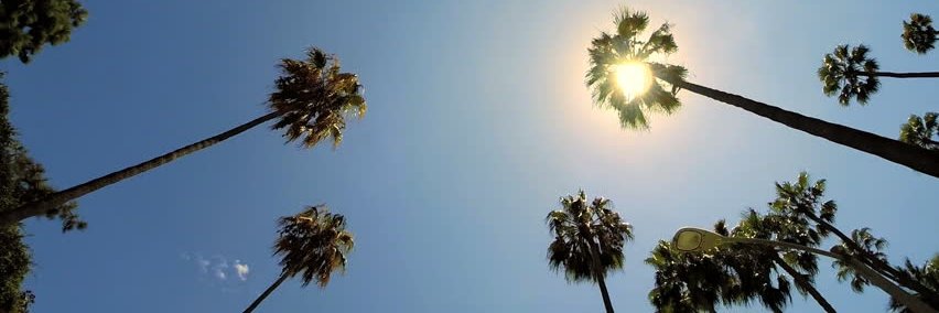 Chaac Ventures banner