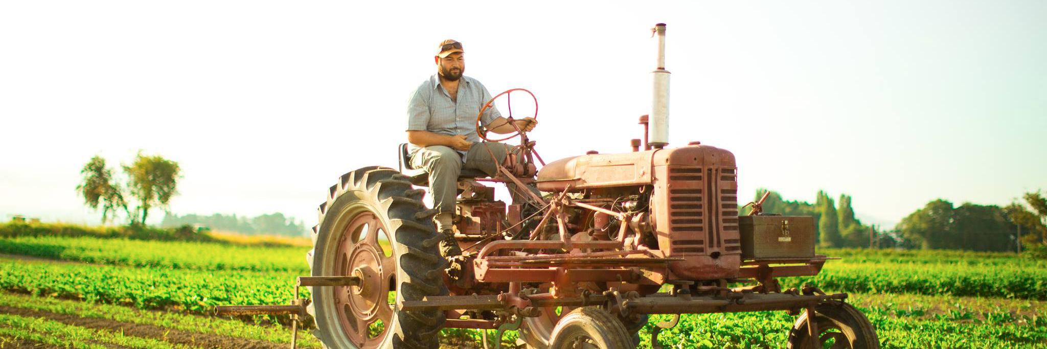 boldlygrownfarm's profile banner image