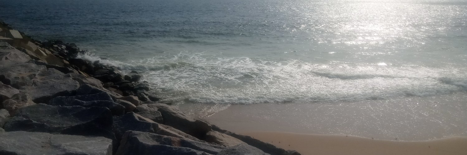 graystable's profile banner image
