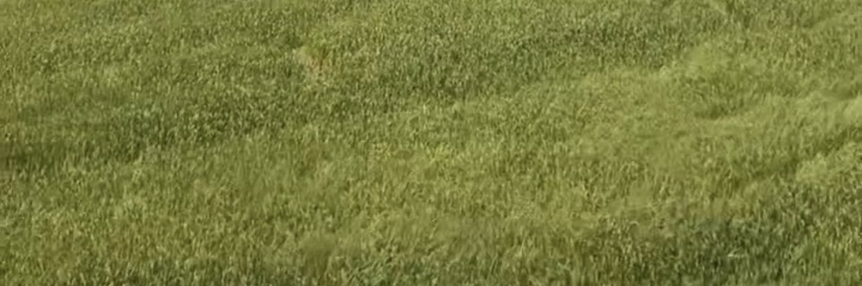 4inch_4's profile banner image