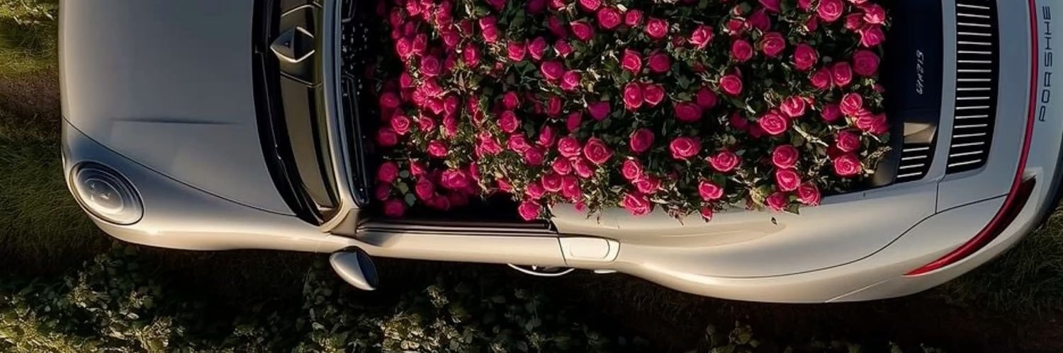 ndysfrs's profile banner image