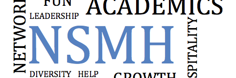 NSMHPlan's profile banner image