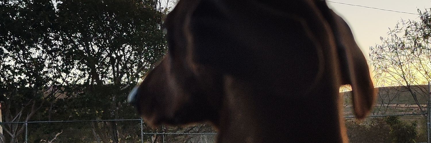 EstefMartz's profile banner image