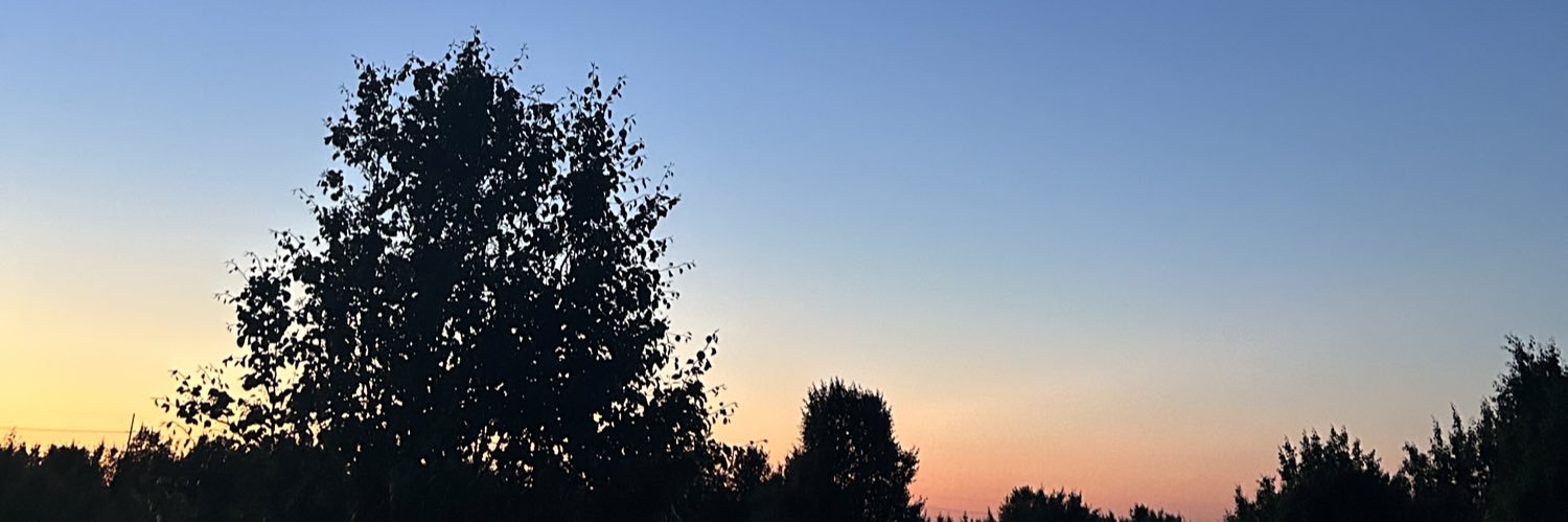 mollllleh's profile banner image