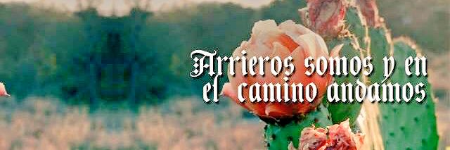 limonpartido_'s profile banner image