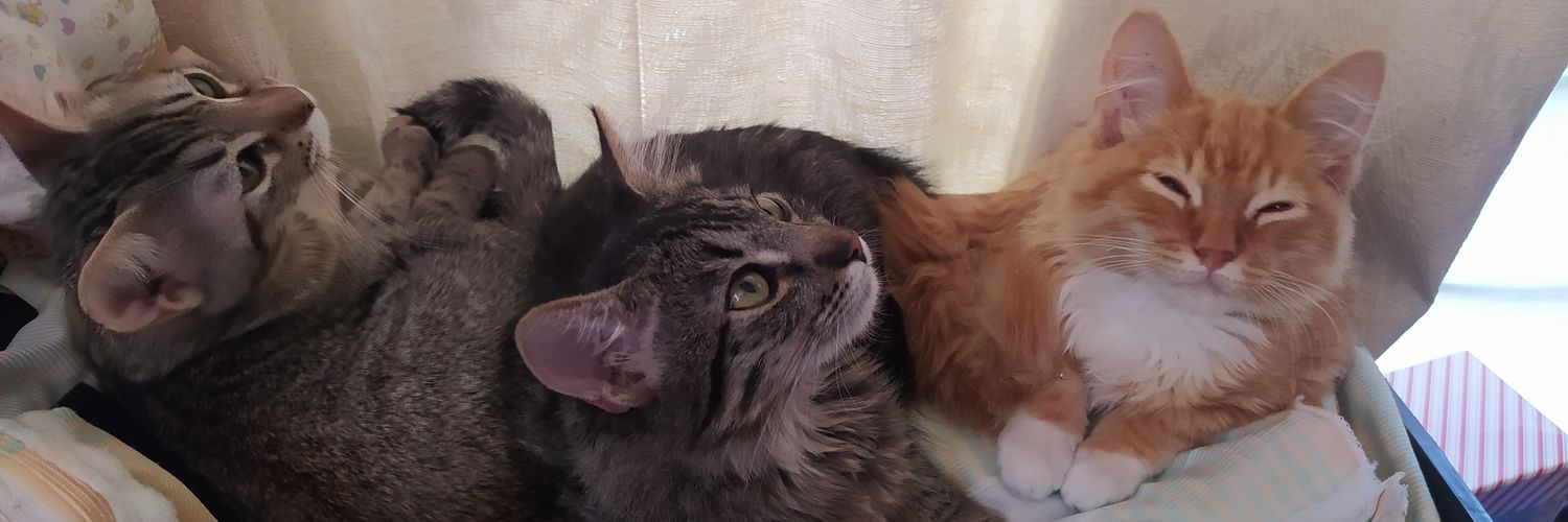 Eder Jacobo J. banner