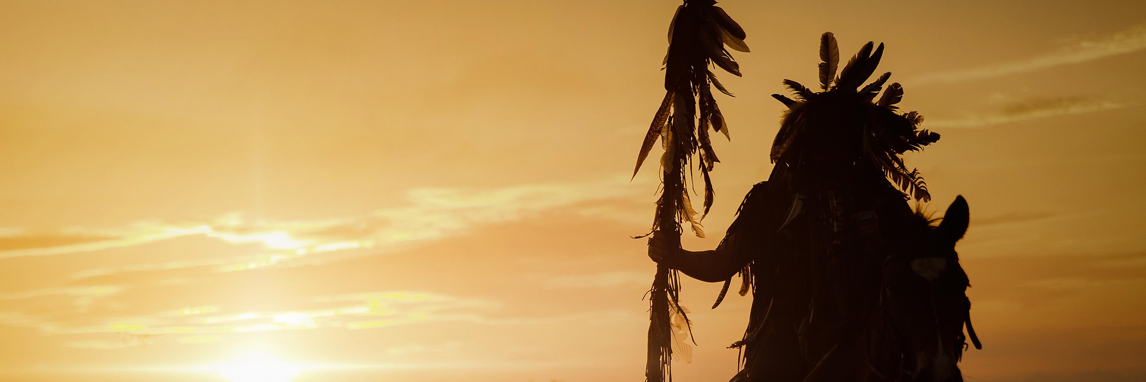 TrueSiouxHope's profile banner image