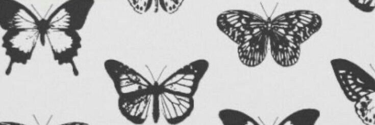 Styxlvshell's profile banner image