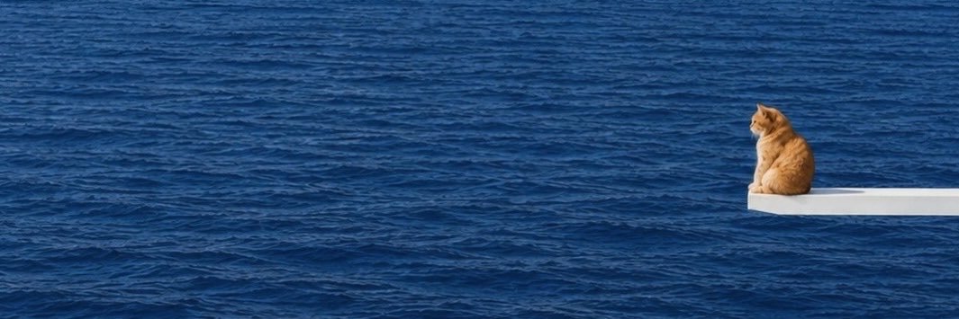 Jazz_M17's profile banner image