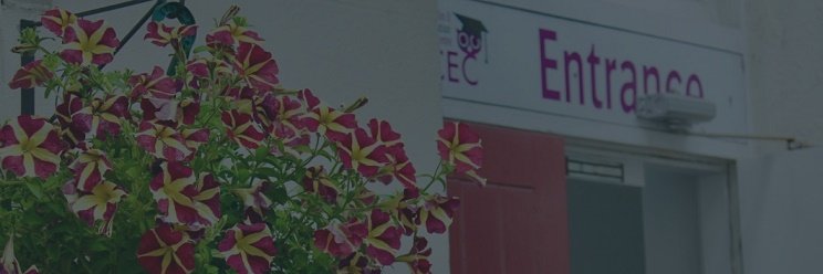 D8CEC's profile banner image