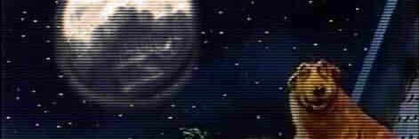 Chronic_Sheep's profile banner image