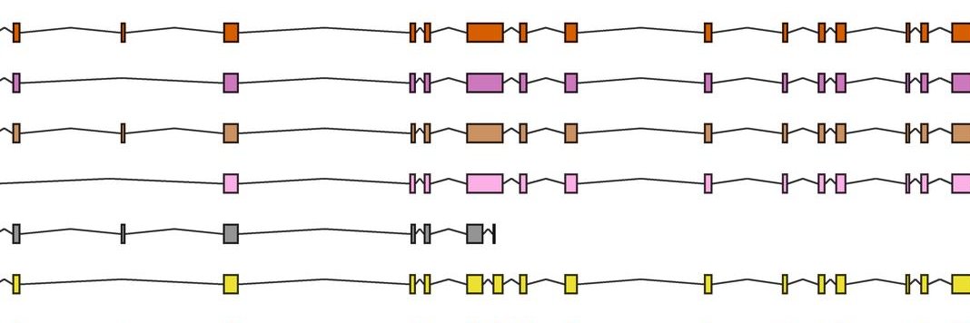 YorkBioinfo's profile banner image