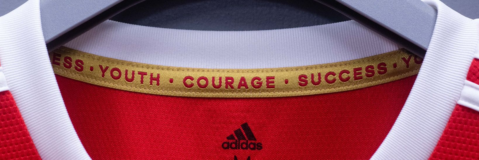 David's banner