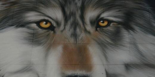 MACSWACK's profile banner image