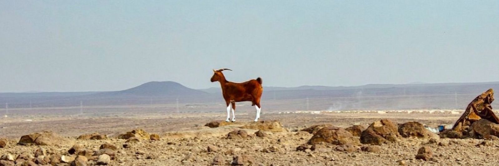 Isaqist's profile banner image