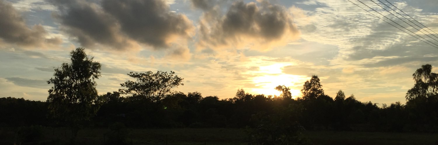 Mamoo2333's profile banner image