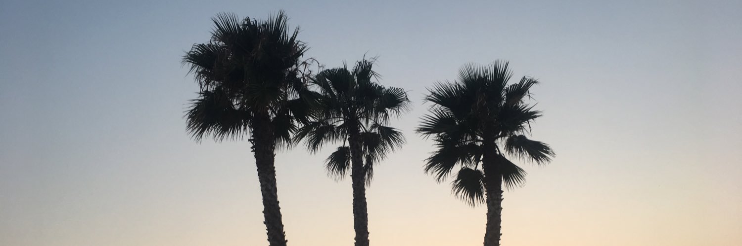 bbwoolf13's profile banner image