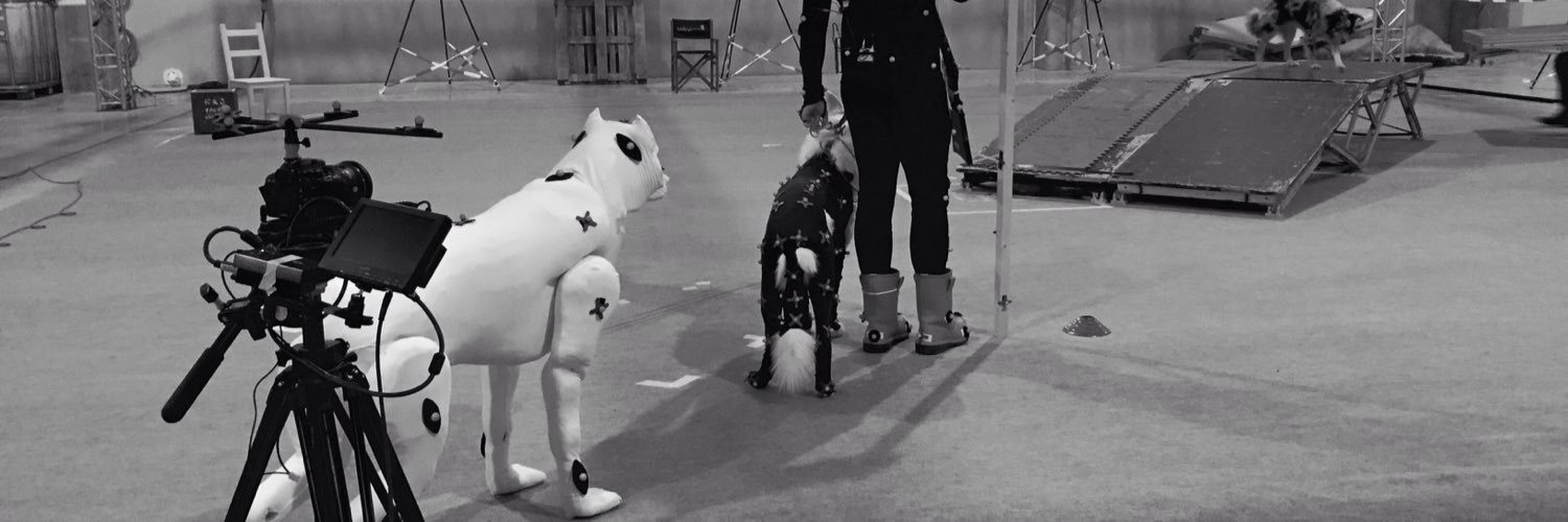 1puppeter's profile banner image