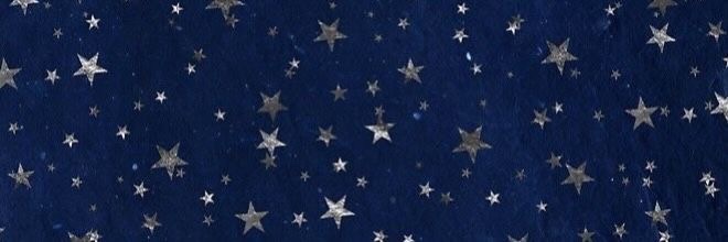 Pinguipaus's profile banner image