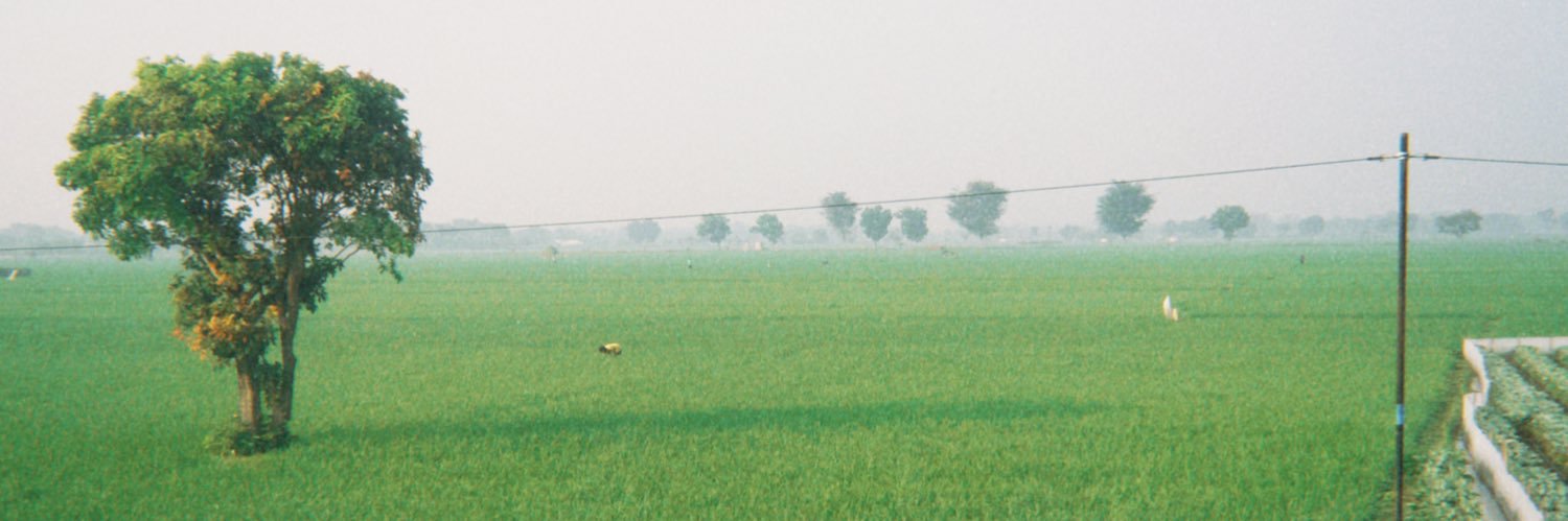 rimba_ps's profile banner image