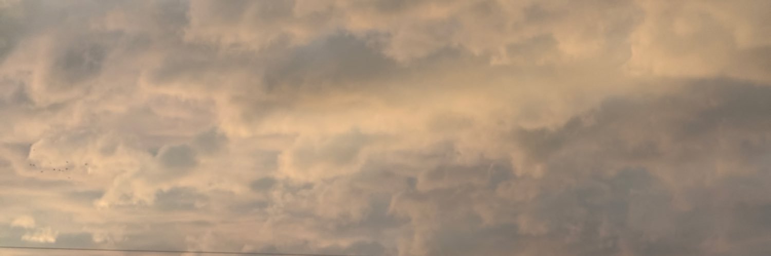 prslaaaa's profile banner image