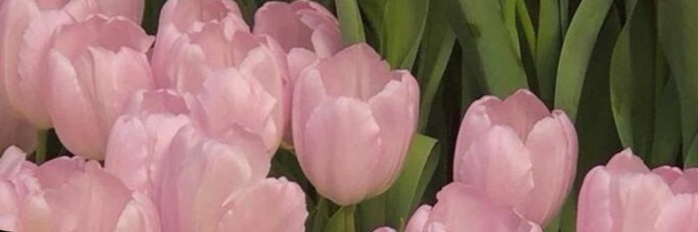 d_astridddd's profile banner image