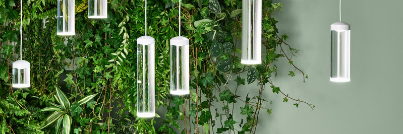 Debbie Smallman banner