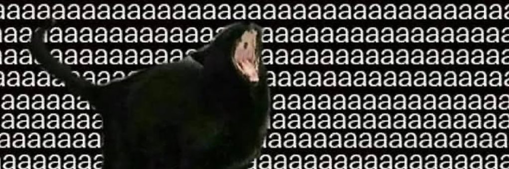 𝙼𝚊𝚢𝚊𝚛𝚊. banner