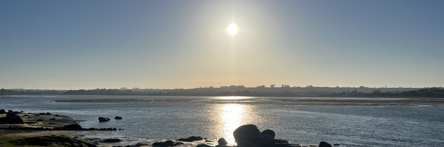 de_manu29's profile banner image