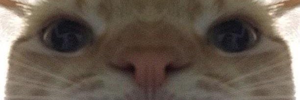 weldngs's profile banner image