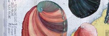 _jenolivares's profile banner image