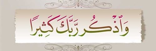 شموخ انثى🌴💙 banner