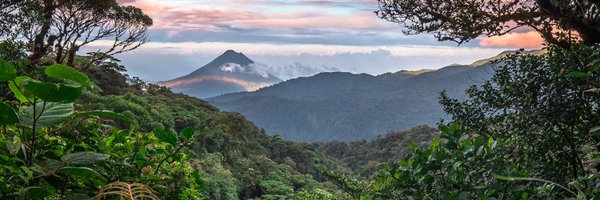 schoolmadefresh Profile Banner