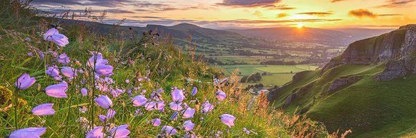 CommRebecca Profile Banner